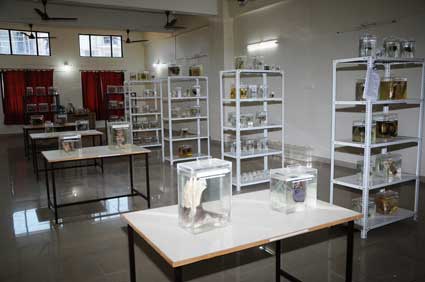 Department Of Anatomy