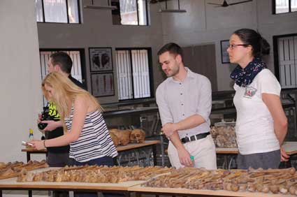 Department Of Anatomy