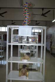 Department Of Anatomy