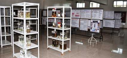 Department of Forensic Medicine