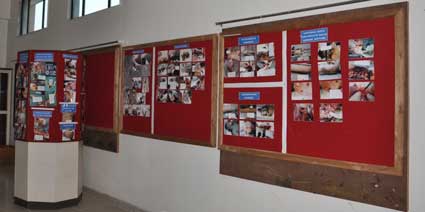 Department of Forensic Medicine