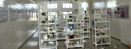 Department Of Pathology
