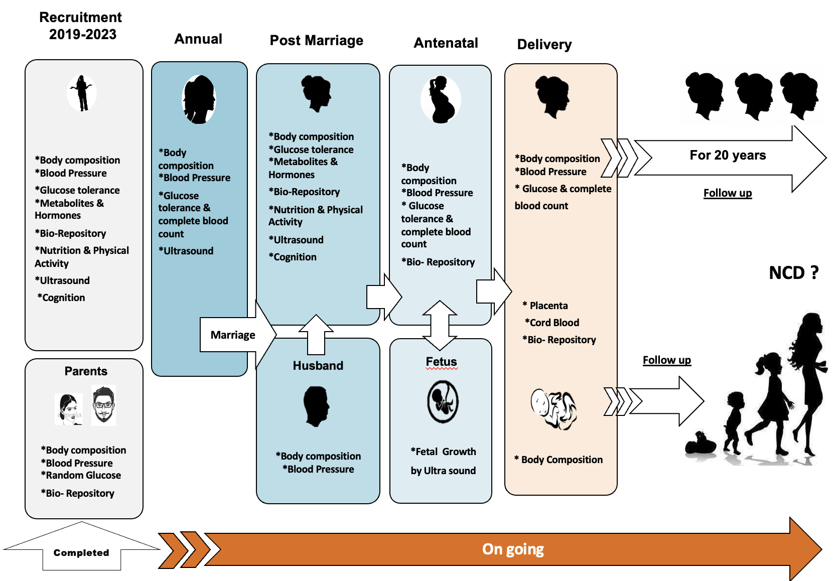 Dervan Cohort Project